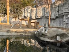 -常州淹城野生动物世界