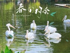 -广州动物园