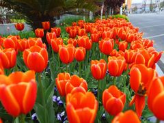 -上海望仙安息园