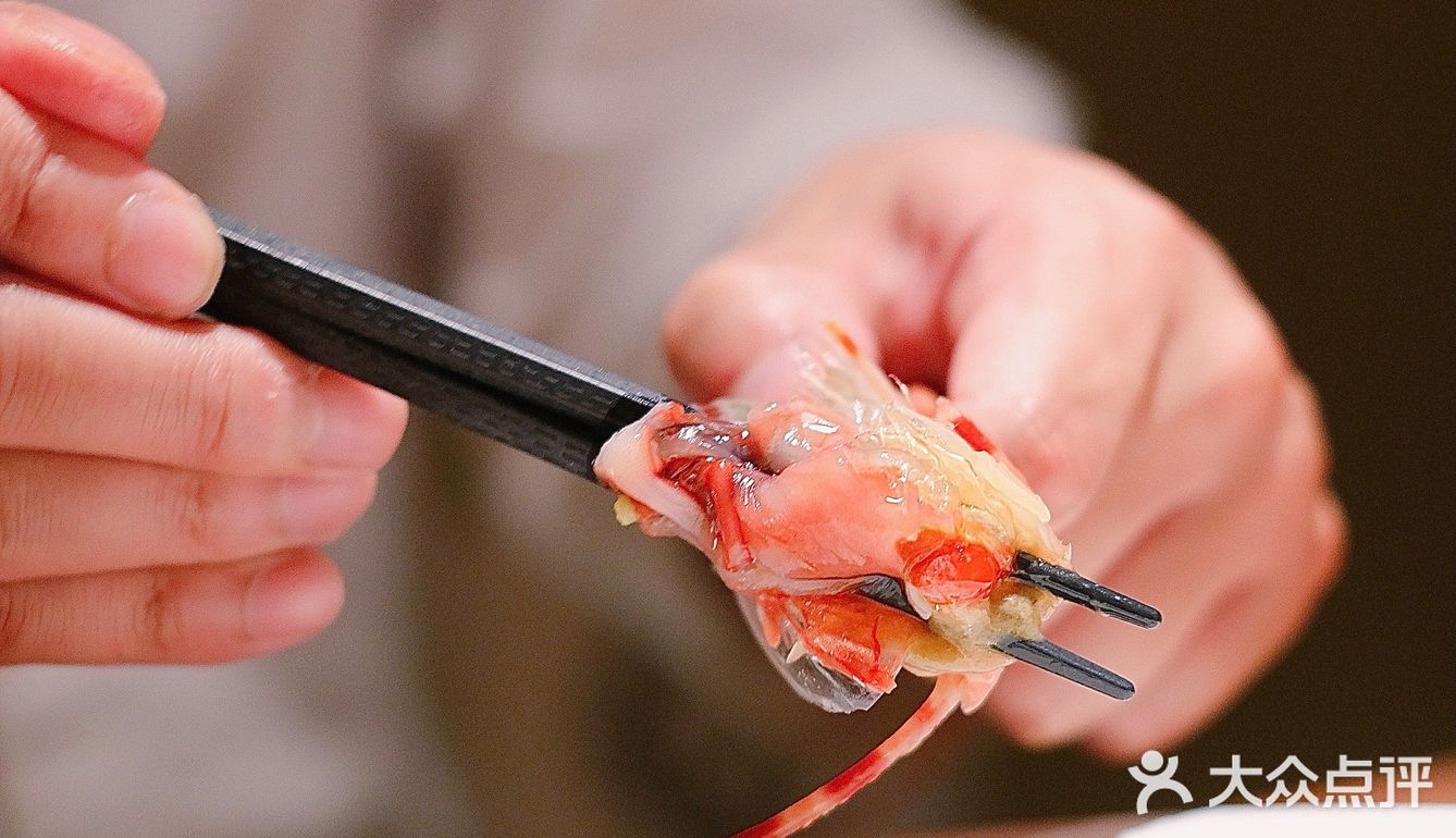 远洋鱼禅Omakase|日料爱好者的白月光  