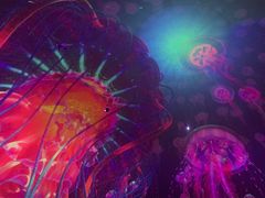 -烟台海昌鲸鲨海洋公园