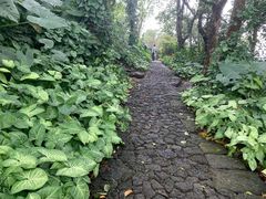 -海口火山口国家地质公园