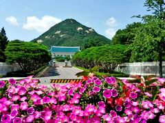 -景福宫