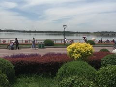 -丁香湖公园