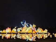 -武汉园博园(武汉自然博物馆)
