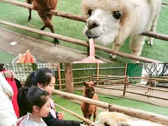 -秀丽东方