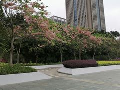 -深圳国际园林花卉博览园