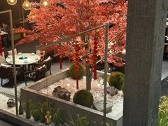 -拈菜(观音桥阳光世纪店)