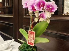 -明阁 Ming Court(广州朗豪酒店)