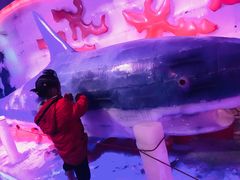 -芜湖新华联大白鲸海洋公园