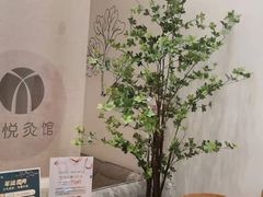 -左悦·艾灸调理·推拿按摩·精油SPA(卓悦汇店)