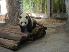 -海南热带野生动植物园