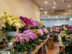 -双季花艺园艺市场(浦东店)