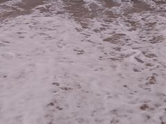 -玫瑰海岸文化旅游度假区