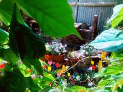 -斯多格书乡(北京大学畅春园店)