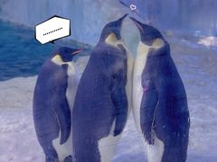 -珠海长隆海洋王国