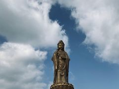 -紫竹林