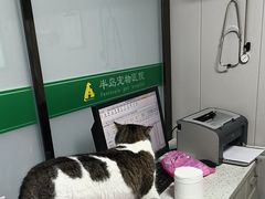 -半岛宠物医院24小时(科华中路店)