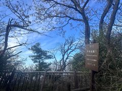 -王顺山国家森林公园