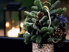 -潮一不贰·法式甜品·生日蛋糕·西式简餐(外滩店)