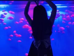 -重庆欢乐海底世界