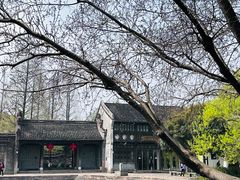 -乌镇景区