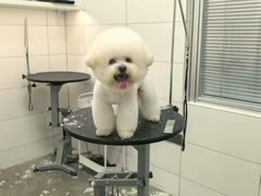 -帕帕拉兹宠物(亚洲旗舰店)