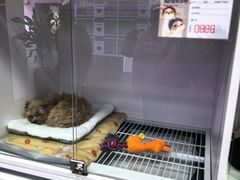 -百荣世贸商城