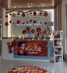 -SILKTONE诗丽堂美容