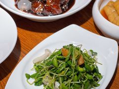 -沪上馨和小馆•海派上海菜(陆家浜路店)