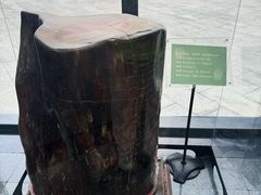 -房山世界地质公园博物馆