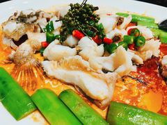 -猪肉婆私房菜(容桂总店)