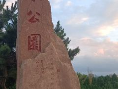 -日照海滨国家森林公园