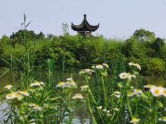 -韩湘水博园