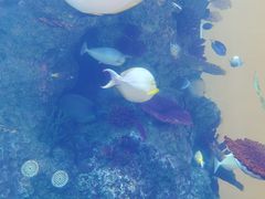 -横琴湾水世界