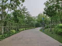 -美的鹭湖探索王国