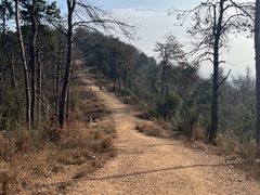 -青龙山国家森林公园