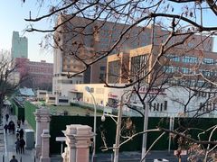 -北京市垂杨柳医院