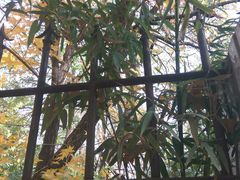-丰台科技园生态主题公园