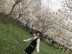 -武汉武昌威斯汀酒店-知味自助餐厅