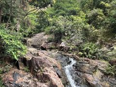 -广州白江湖森林公园