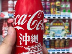 -美国村