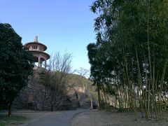-蛇蟠岛