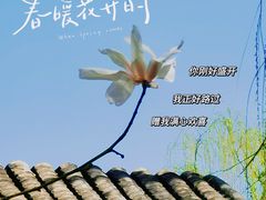 -海棠花溪(元大都城垣遗址公园)