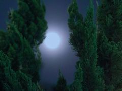 -上海神旺大酒店