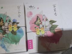 -好一朵茉莉花(老门东店)
