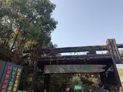-天目湖山水园