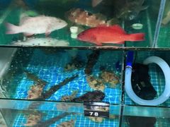-岛中岛·海鲜大排档·万宁老字号(东澳店)
