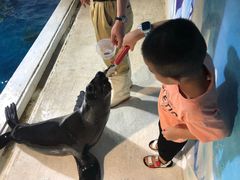 -成都浩海立方海洋公园