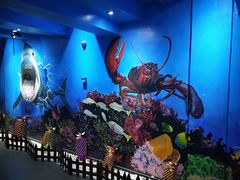 -船奇蒸汽海鲜·闽菜(八市海鲜总店)